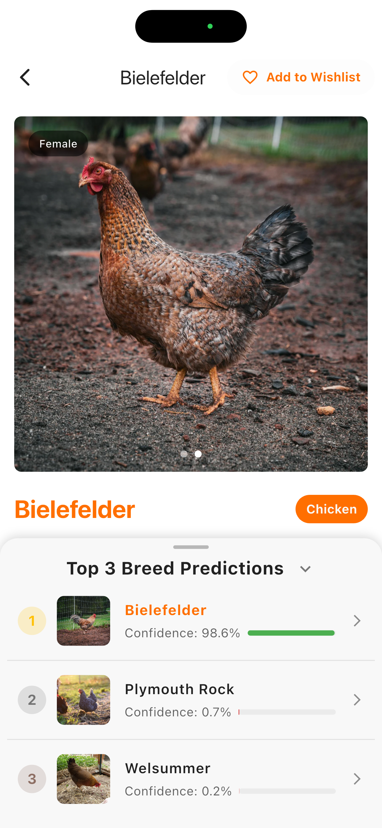 Social community screen