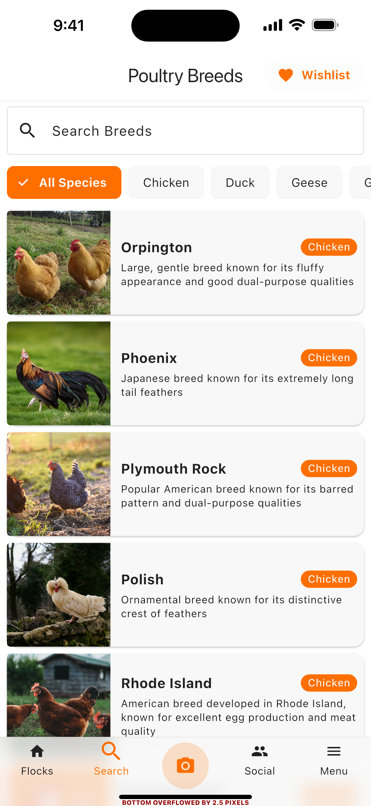 Social community screen