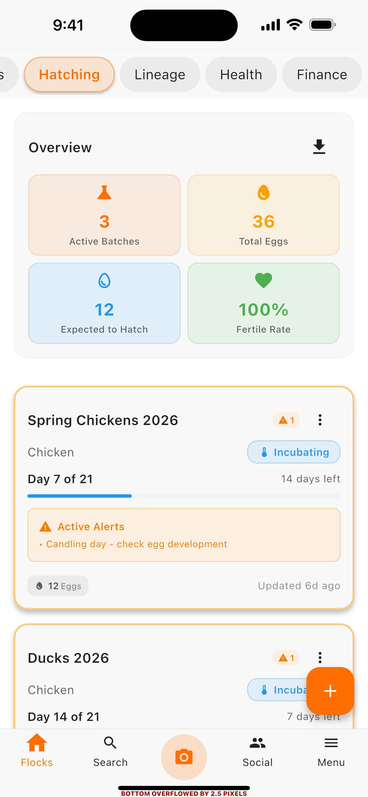 Social community screen