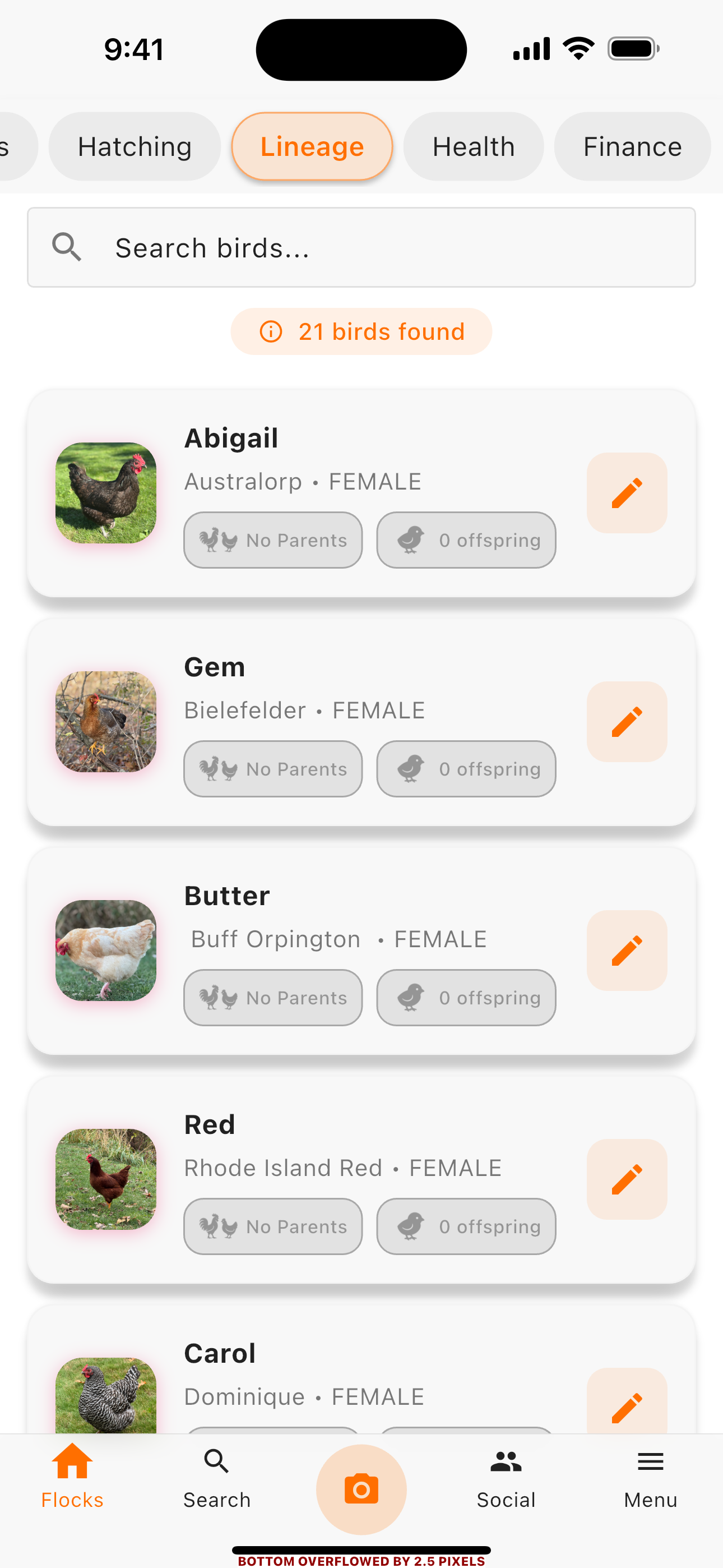 Social community screen