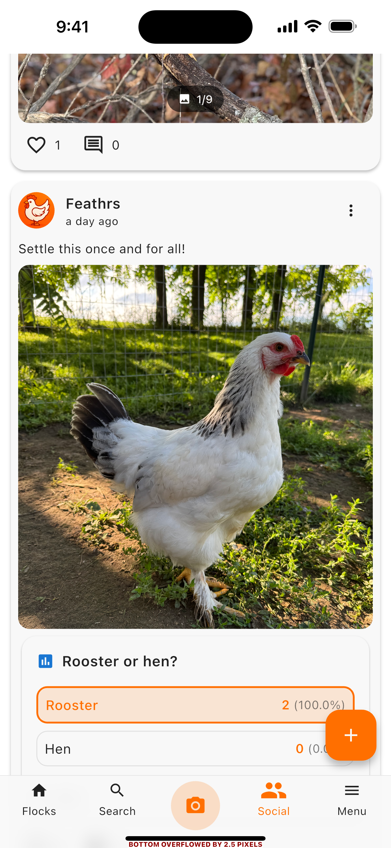 Social community screen